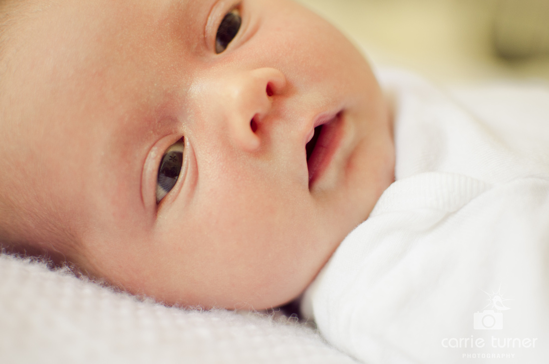 Asheville, NC family portrait photgrapher, new baby, newborn